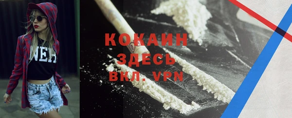 ПСИЛОЦИБИНОВЫЕ ГРИБЫ Коряжма