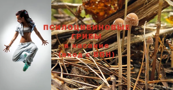 ПСИЛОЦИБИНОВЫЕ ГРИБЫ Коряжма