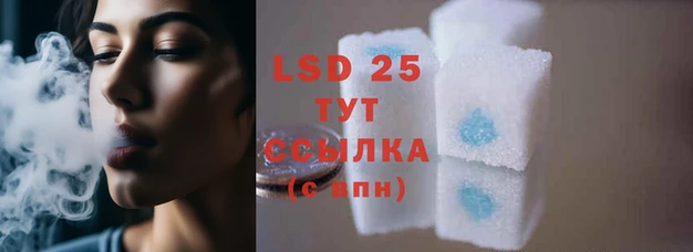 ПСИЛОЦИБИНОВЫЕ ГРИБЫ Коряжма