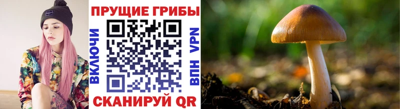 Псилоцибиновые грибы Magic Shrooms Тимашёвск